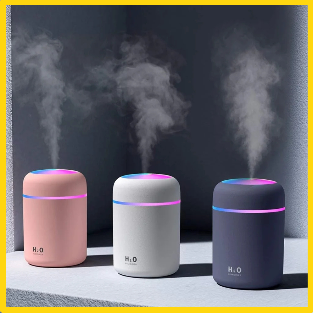 H2O Humidifier