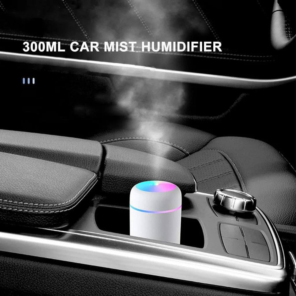H2O Humidifier