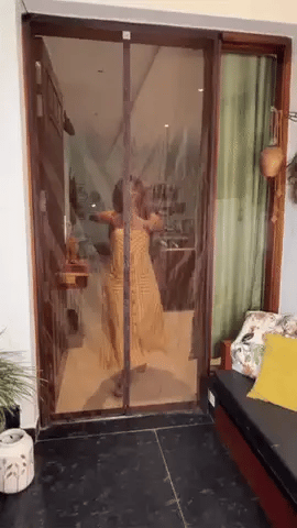 Magnetic Anti-Mosquito Door Curtains